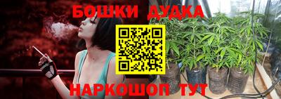 индика Тверь