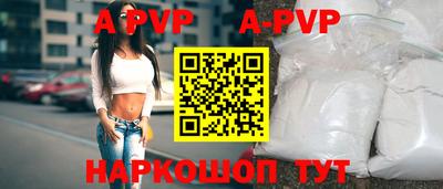 гашик Тара