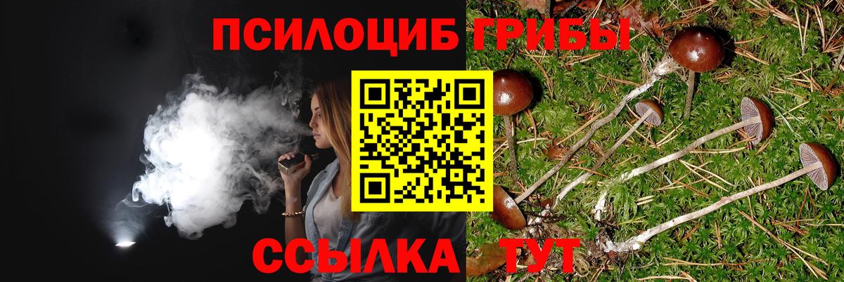 Псилоцибиновые грибы Magic Shrooms Баксан